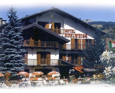 Hotel Edelweiss & Spa Чезана-Торинезе Екстер'єр фото