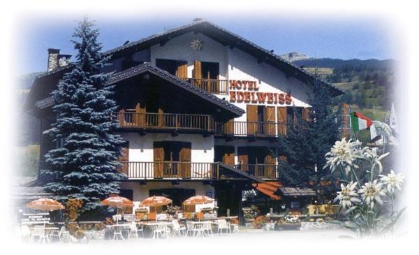 Hotel Edelweiss & Spa Чезана-Торинезе Екстер'єр фото