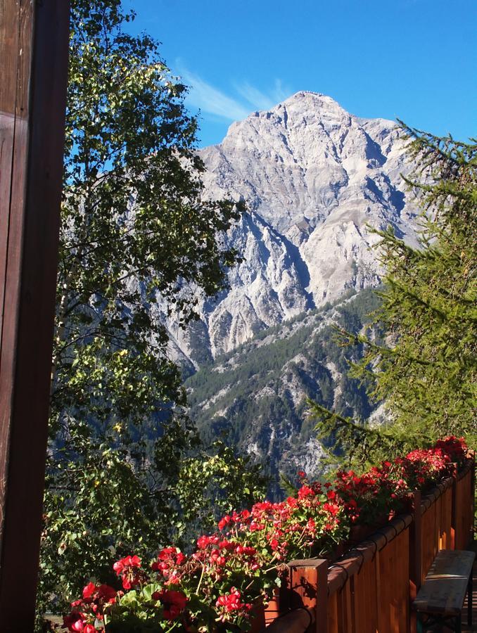 Hotel Edelweiss & Spa Чезана-Торинезе Екстер'єр фото